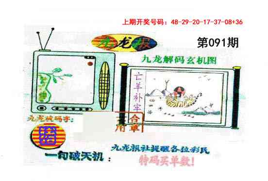 091期九龙报[图]